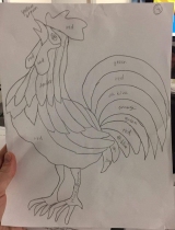 Rooster