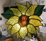 Sunflower3